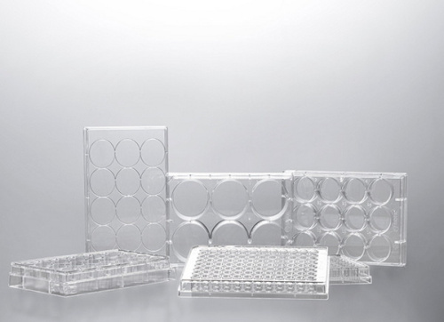 cfaaw78dcx35auytwb56udml2c3jbdmg