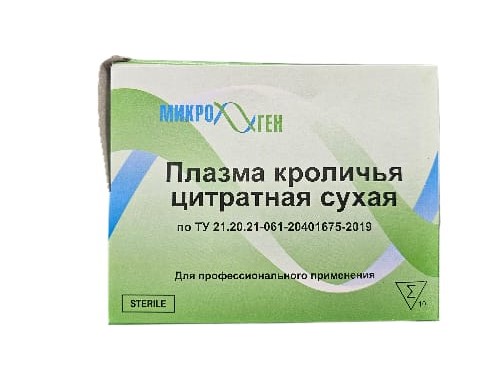 WhatsApp Image 2025-12-17 at 11.41.03